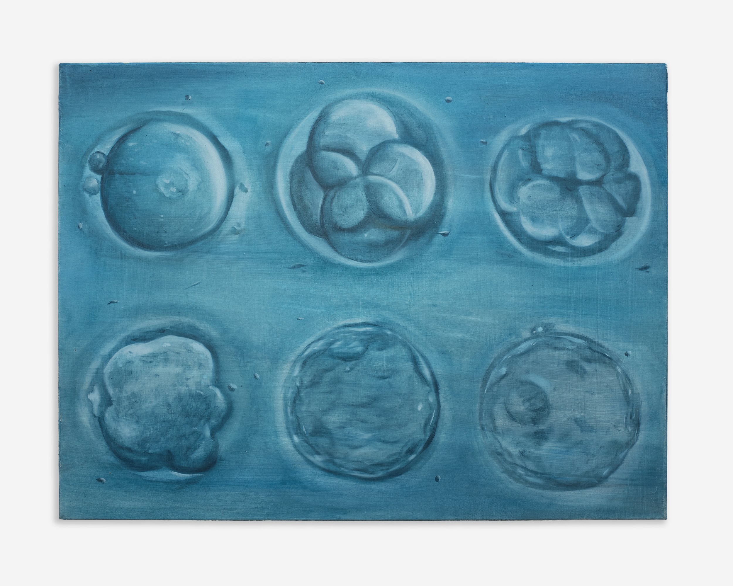 First Week, 2022, oil on linen, 40 x 50 cm